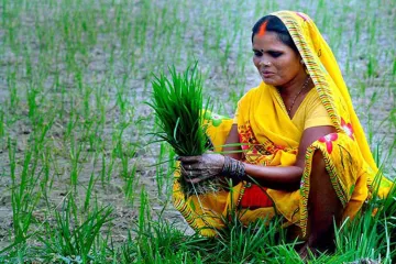 Rs 12305 cr disbursed so far to farmers under PM-KISAN scheme- India TV Paisa