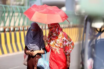 Hot weather prevails in parts of country- India TV Hindi