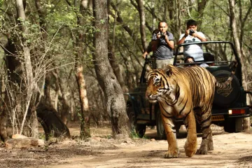 jim corbett- India TV Hindi