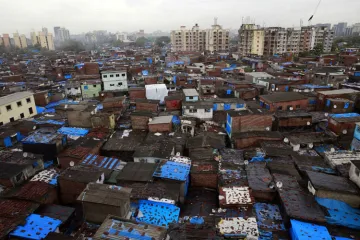 Bombay HC urges Maha Govt to undertake slum redevelopment in professional manner- India TV Hindi
