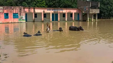 Bihar flood- India TV Hindi