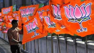 BJP sets target of wining 220 plus seats with allies in Maharashtra polls- India TV Hindi