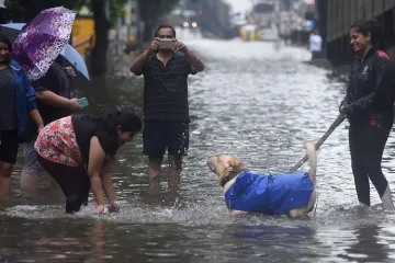 rain in mumbai- India TV Hindi