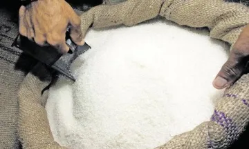 Sugar output may drop 14 pc to 28.2 MT in next marketing year- India TV Paisa