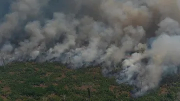 Brazil president plans send in army to contain Amazon fires | AP- India TV Hindi