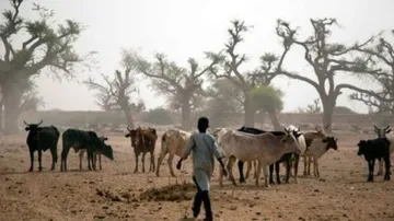 Clashes kill 3 civilians in Darfur of Sudan, says doctors | PTI Representational- India TV Hindi