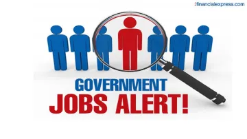 <p>government jobs 2019</p> <p> </p>- India TV Hindi