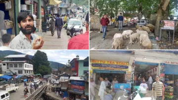 Jammu and Kashmir: Valley coming back to normalcy, all set to celebrate Eid- India TV Hindi