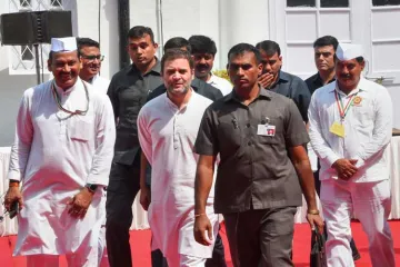 <p>Rahul Gandhi</p>- India TV Hindi