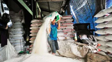 Cabinet approves Rs 6,268 cr export subsidy for 60 lakh tonnes of sugar- India TV Paisa