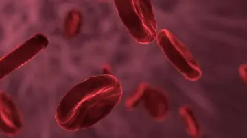 <p>Blood Cancer</p>- India TV Hindi