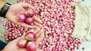 Onion to be sold Rs 23.90 per KG in Delhi by Saturday- India TV Hindi