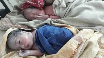 <p>Twins new born babies</p>- India TV Hindi