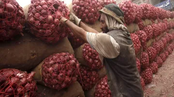Afghanistan’s Onion reaches India via Pakistan, Delhi government demands 100 tons of onions per day- India TV Paisa