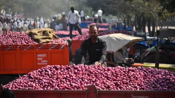 Government imposes Minimum Export price of 850 dollar per ton for onion export - India TV Paisa