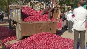 देशभर में फिर बढ़े प्याज के दाम, किसान के गोदाम से एक लाख रुपए के प्याज चोरी- India TV Hindi