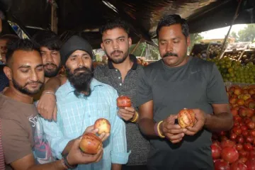 <p>'Azadi', 'Burhan Wani' written on apples from Kashmir;...- India TV Hindi