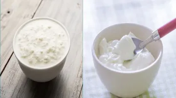 difference between curd and yogurt- India TV Hindi