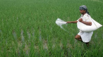 IFFCO reduces retail prices of non-urea fertilisers by Rs 50/bag - India TV Paisa