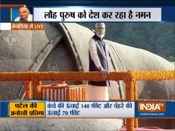 <p>Statue of Unity </p>- India TV Hindi