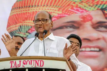 <p>Sharad Pawar</p>- India TV Hindi