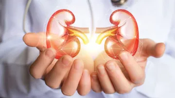 kidney disease treatment in ayurveda - India TV Hindi