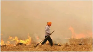 Pollution will be rise in Delhi in next few days because of Stubble burning- India TV Hindi