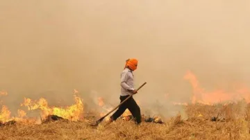 प्रतिबंध के बावजूद पंजाब में दो दिनों में पराली जलाने की 1500 घटनाएं- India TV Hindi