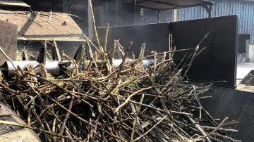 Sugarcane Crushing﻿- India TV Paisa