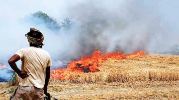 <p>Stubble Burning </p>- India TV Hindi