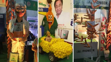 <p>corn fest 2019</p>- India TV Hindi