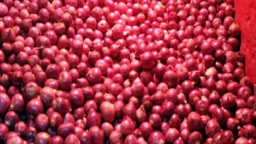 Onion Stock Limit reduced for wholesalers and retailers - India TV Paisa