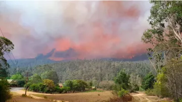 जंगलों में लगी भीषण आग की तपिश झेल रहे ऑस्ट्रेलिया में बारिश से राहत मिली- India TV Hindi
