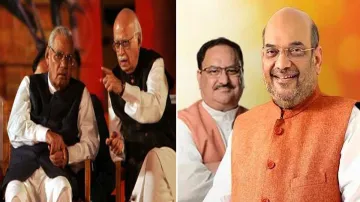 <p>BJP Presidents</p>- India TV Hindi