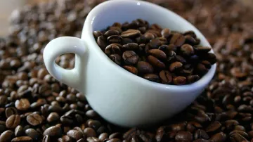 Coffee exports in 2019 up marginally at 3.50 lakh tonne- India TV Paisa