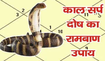 mouni Amavasya- India TV Hindi