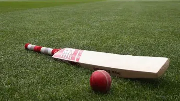 Cricket Bat & Ball- India TV Hindi