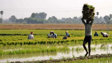 <p>Farm Loan</p>- India TV Paisa