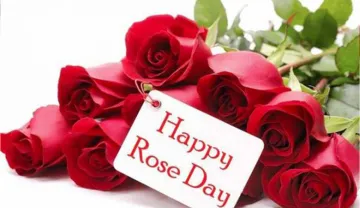 Rose day 2020- India TV Hindi