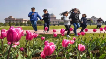 Mughal Gardens 2020, Rashtrapati Bhavan, Udyanotsav, Presidents Estate, Mughal Gardens - India TV Paisa
