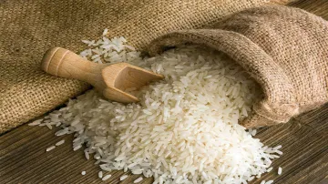 Basmati Rice exports, Rice exports, Rice, Agriculture Market News, rice export from india- India TV Paisa