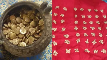 <p>Gold Coins</p>- India TV Hindi