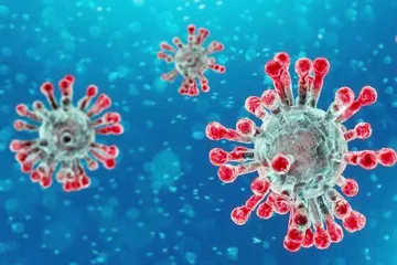 <p>coronavirus</p>- India TV Hindi