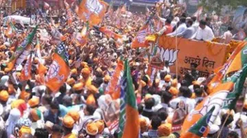 दिल्ली चुनाव पर भाजपा का आंतरिक आकलन, SC/ST और सिखों का नहीं मिला साथ- India TV Hindi