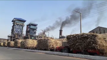 <p>Sugar Mill</p>- India TV Paisa