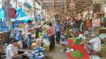 Odd-even rules apply for sale of vegetables at Delhi's Azadpur mandi - India TV Paisa