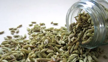 Side Effects Fennel seeds or Saunf- India TV Hindi