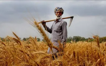 <p>Agri Sector</p>- India TV Paisa
