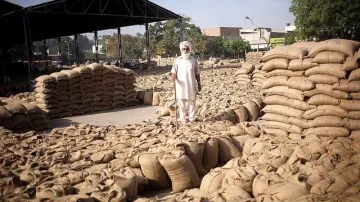  government allowed use of old sack plastic bags for grain purchase- India TV Paisa