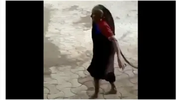 <p>दादी मां का कोबरा को...- India TV Hindi